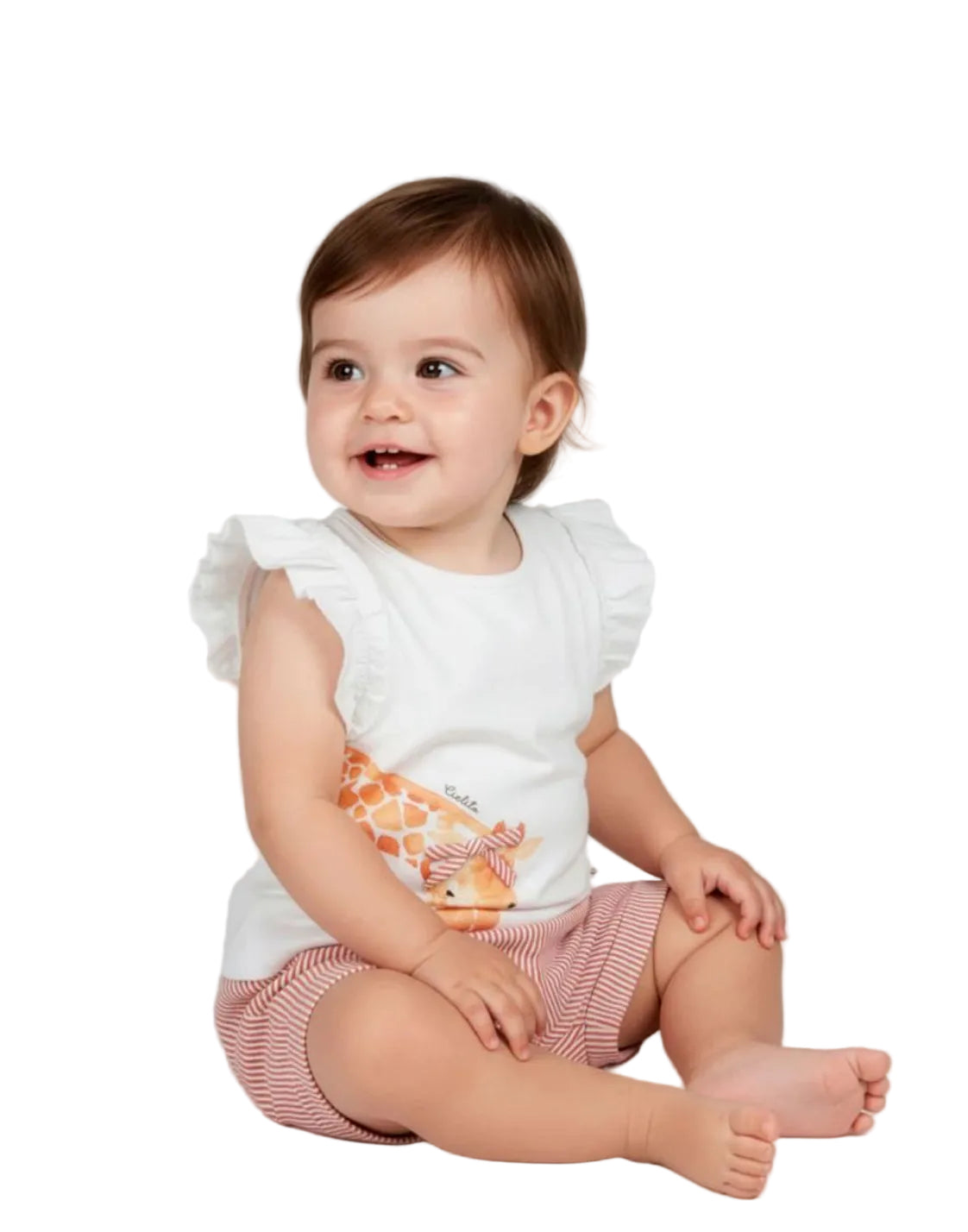 Giraffe Set