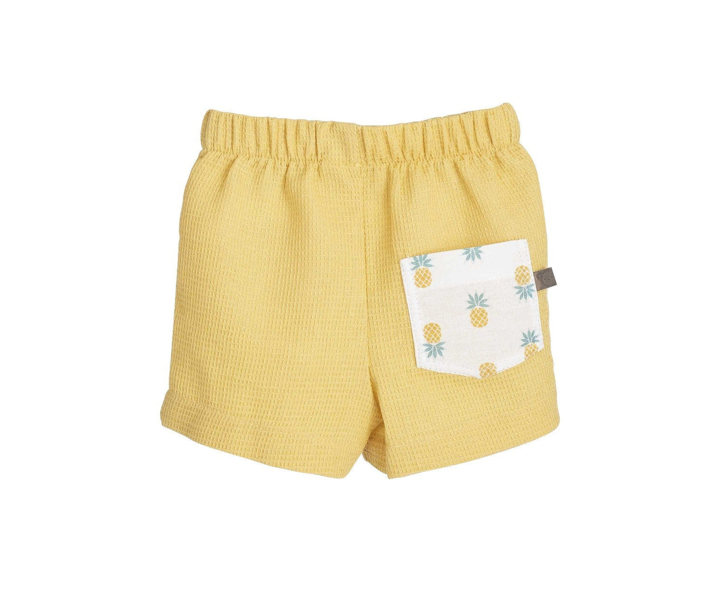 Pineapple Snack Set